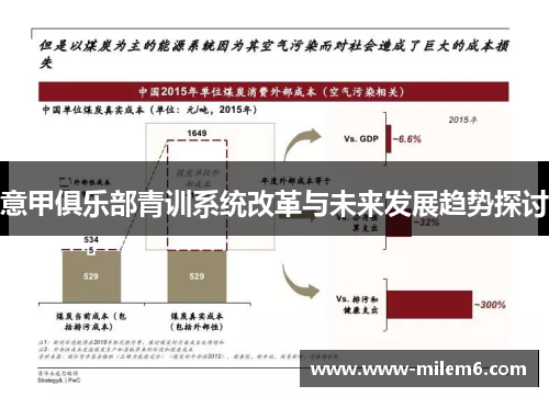 意甲俱乐部青训系统改革与未来发展趋势探讨