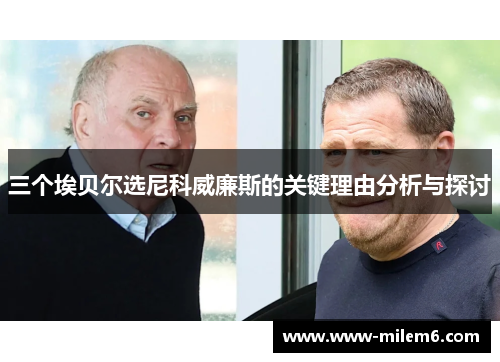 三个埃贝尔选尼科威廉斯的关键理由分析与探讨