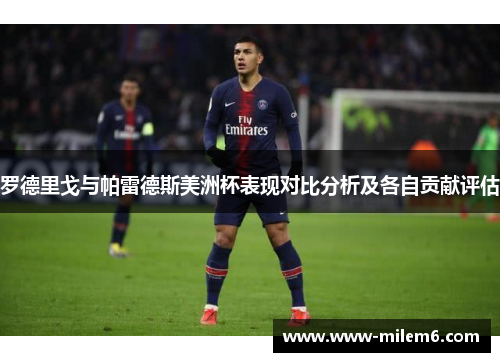 罗德里戈与帕雷德斯美洲杯表现对比分析及各自贡献评估