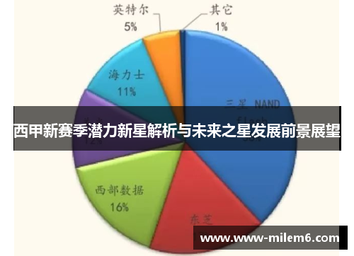 西甲新赛季潜力新星解析与未来之星发展前景展望