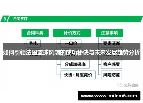 如何引领法国篮球风潮的成功秘诀与未来发展趋势分析