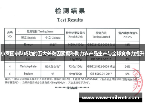 小麦国家队成功的五大关键因素揭秘助力农产品生产与全球竞争力提升