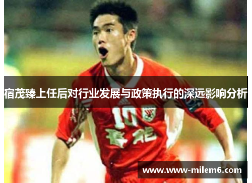 宿茂臻上任后对行业发展与政策执行的深远影响分析