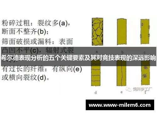 希尔德表现分析的五个关键要素及其对竞技表现的深远影响