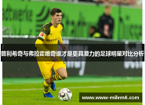 普利希奇与弗拉霍维奇谁才是更具潜力的足球明星对比分析