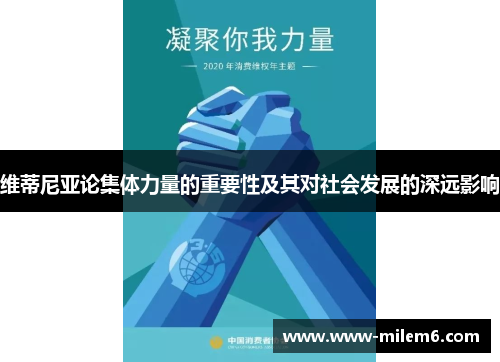 维蒂尼亚论集体力量的重要性及其对社会发展的深远影响
