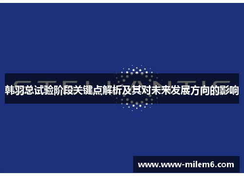 韩羽总试验阶段关键点解析及其对未来发展方向的影响