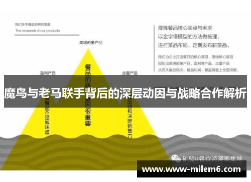 魔鸟与老马联手背后的深层动因与战略合作解析