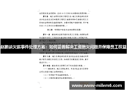 赵鹏谈欠薪事件处理方案：如何妥善解决工资拖欠问题并保障员工权益