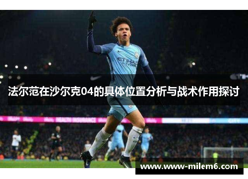 法尔范在沙尔克04的具体位置分析与战术作用探讨