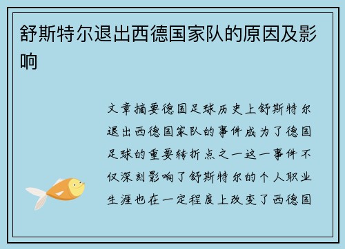 舒斯特尔退出西德国家队的原因及影响