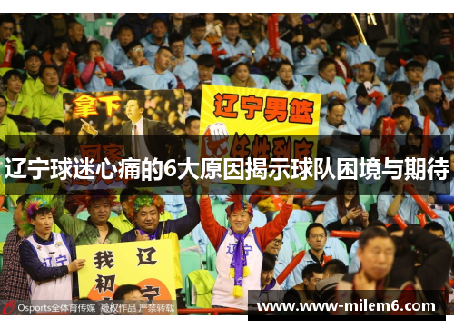 辽宁球迷心痛的6大原因揭示球队困境与期待