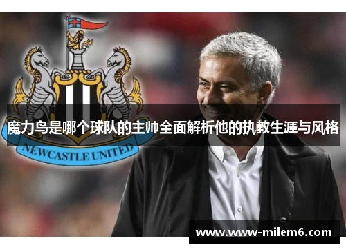 魔力鸟是哪个球队的主帅全面解析他的执教生涯与风格