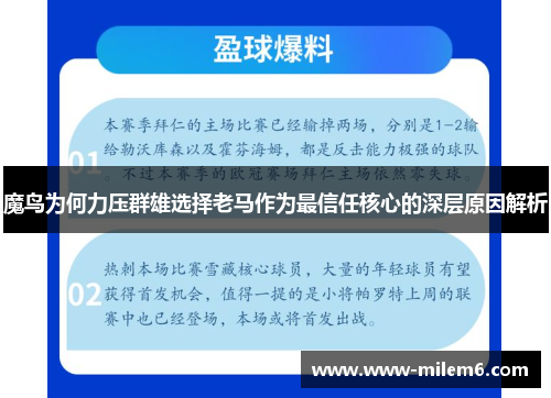 魔鸟为何力压群雄选择老马作为最信任核心的深层原因解析